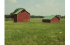 Property photo 43 - 160 Acres Offered in 6 Tracts